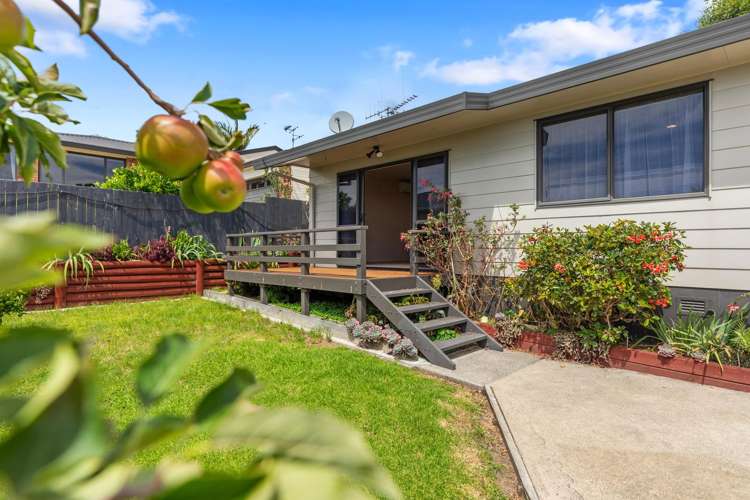 40A Princess Road Bellevue_6