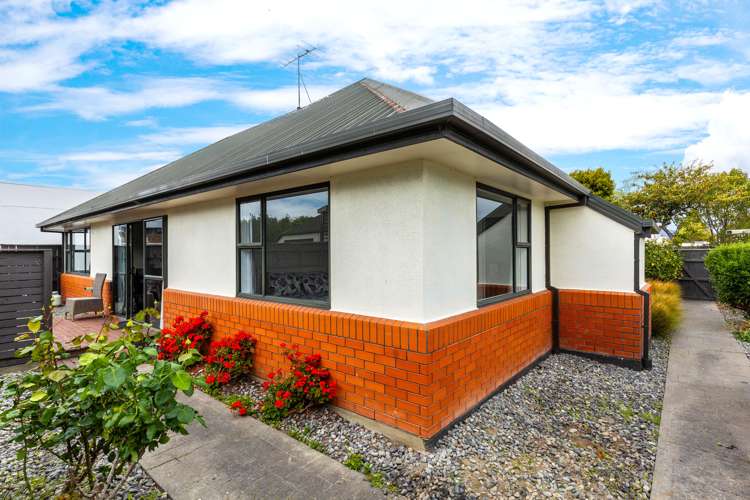 176c High Street Blenheim Central_19