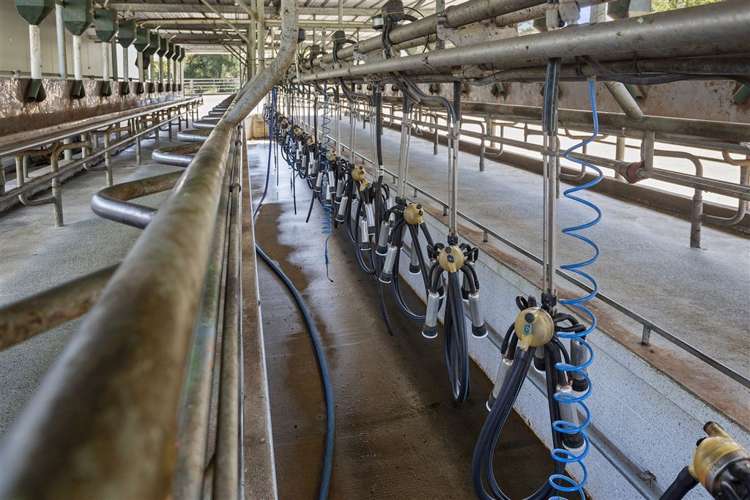 57 Hall Road Hikuai_8