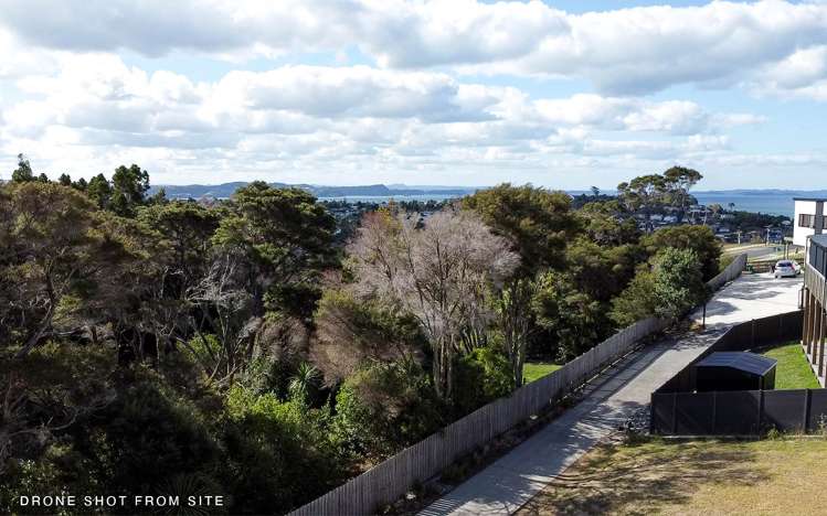 11 Ti Tree Lane Stanmore Bay_1
