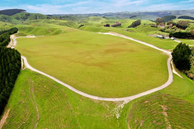 166 Airstrip Road Pikowai_23