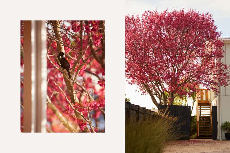 4b Redditch Place Papamoa_16