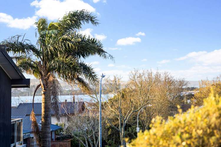 17 Fratley Avenue Farm Cove_6