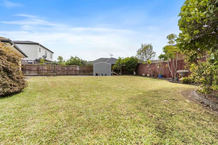 5 Lothian Brae Wattle Downs_13