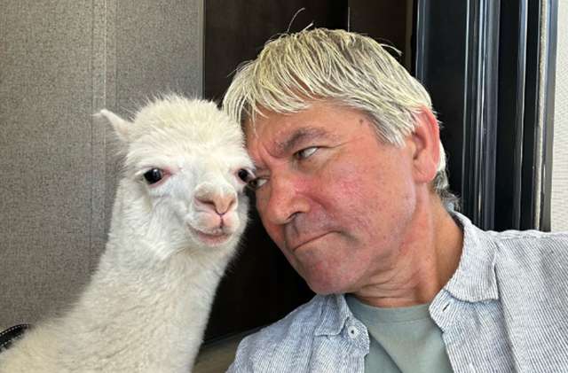 The Kiwi agent whose pet alpaca Boris is a hit at open homes (and even photobombs listings)