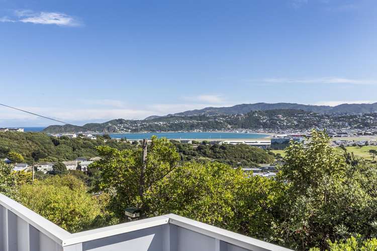 56 Tannadyce Street Strathmore Park_19