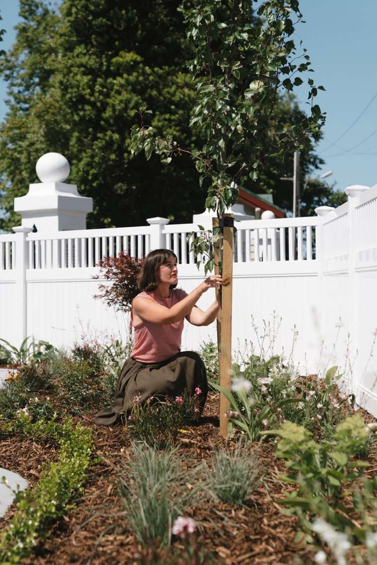  4 Major Street Katikati_7