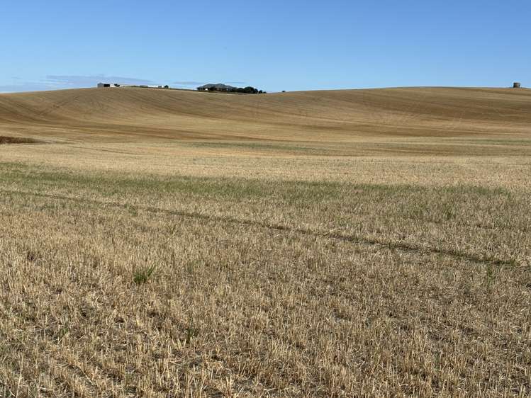 120 Fortification Road Kakanui_19