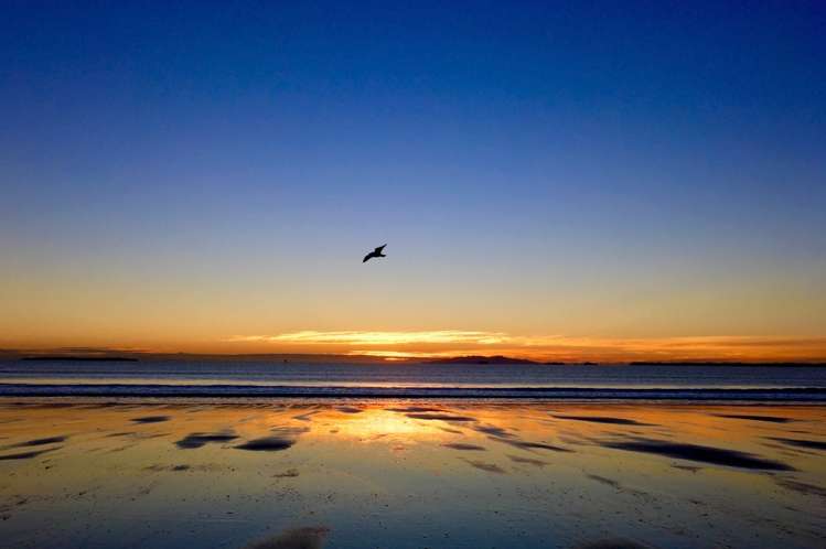 8 Hastings Road Mairangi Bay_18