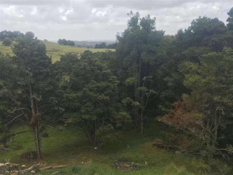 116 Port Albert Road Wellsford_3