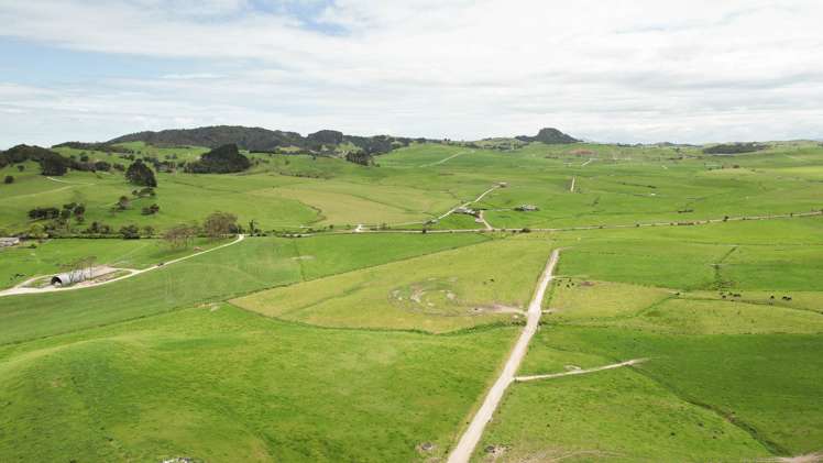 220 Blong Road Ruawai_7