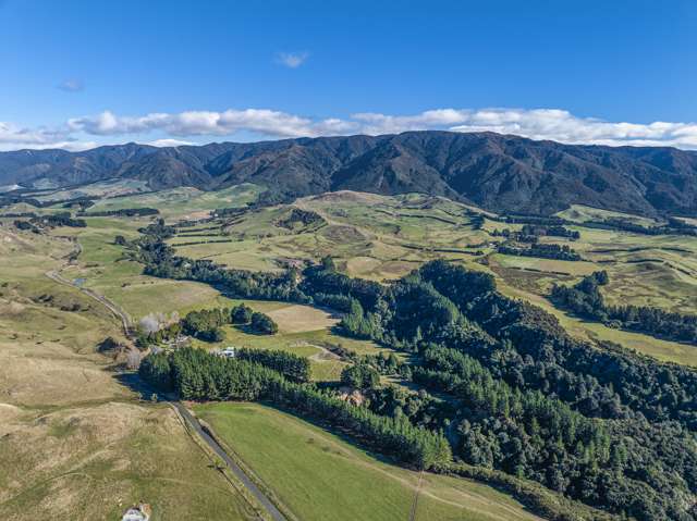 838 Mangleton Road Kereru_1