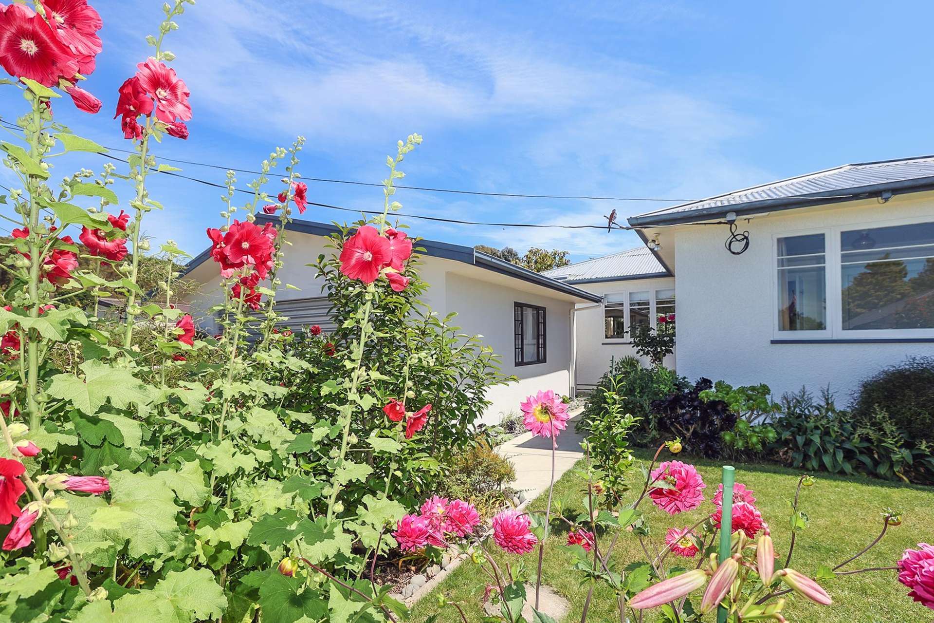 15 Golding Road Taradale_0