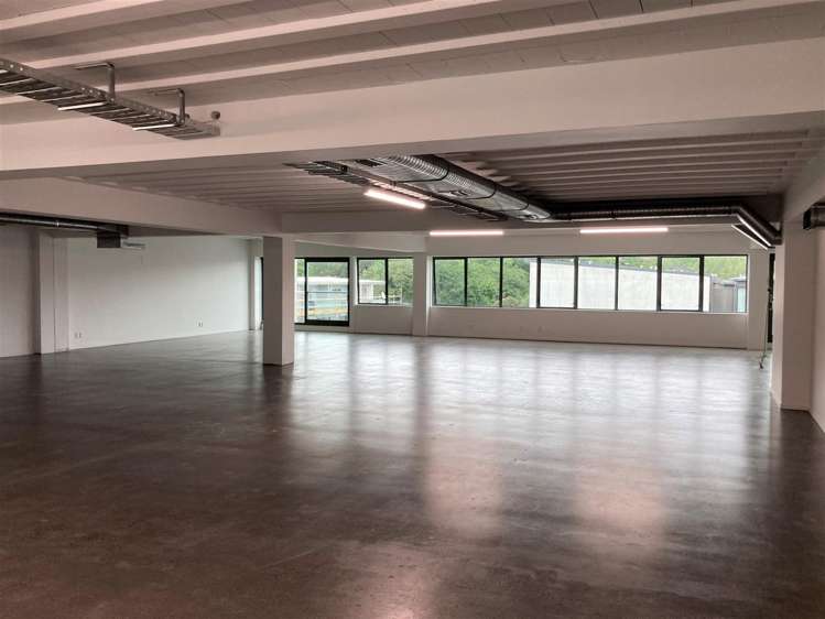 11-13 Falcon Street Parnell_5