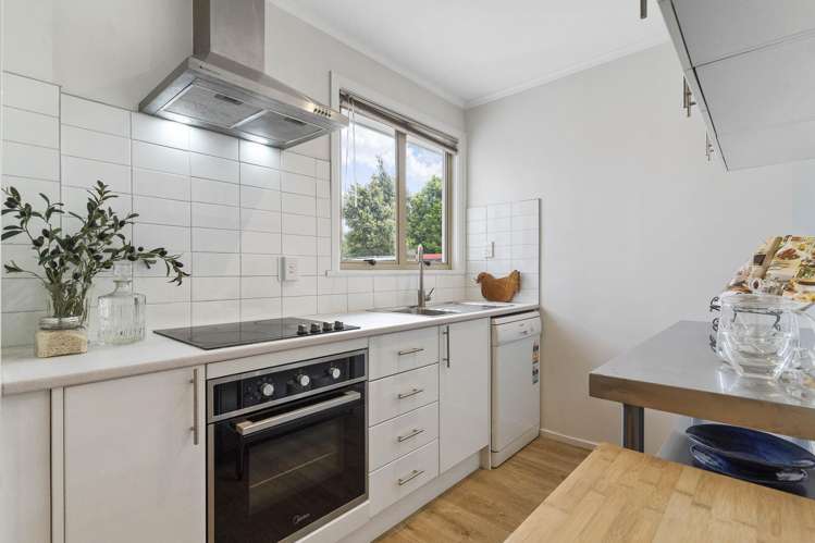 29 Gavin Street Ellerslie_1