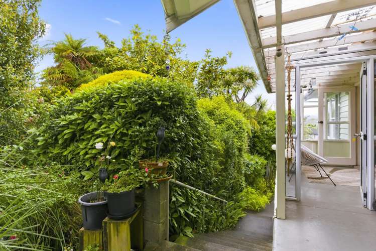 111 Winchester Street Levin_20