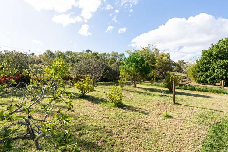 87 Kahikatea Flat Road Dairy Flat_17