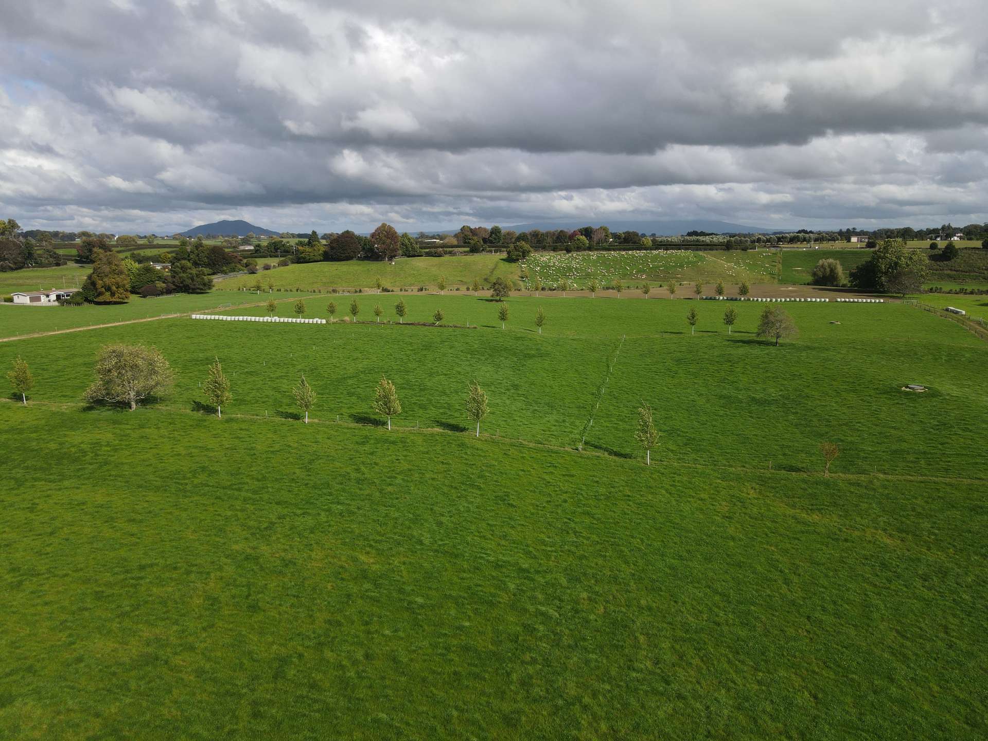 105 Chamberlain Road Te Awamutu_0