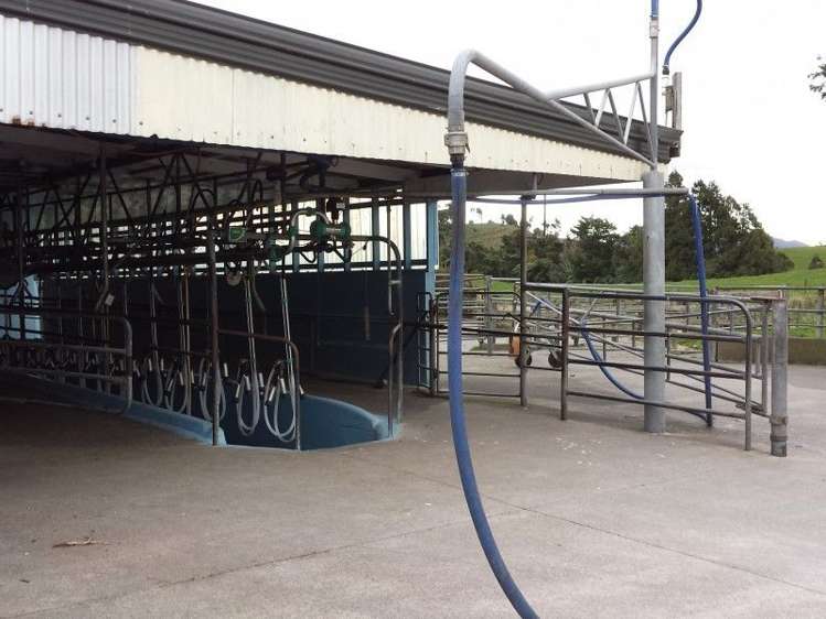 1102 Mangorei Road Mangorei_7