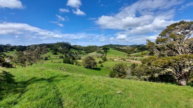 152 McBreen Road Hikurangi Rd1_39