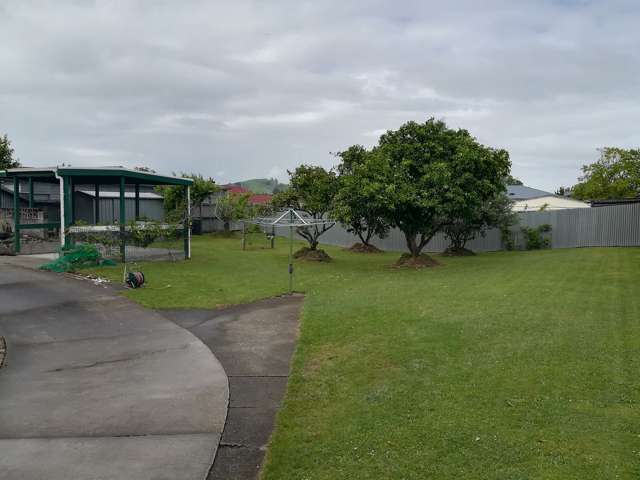 17 Park Street Morrinsville_3