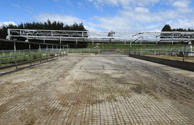 162 Longridge Village Road Gore Surrounds_8