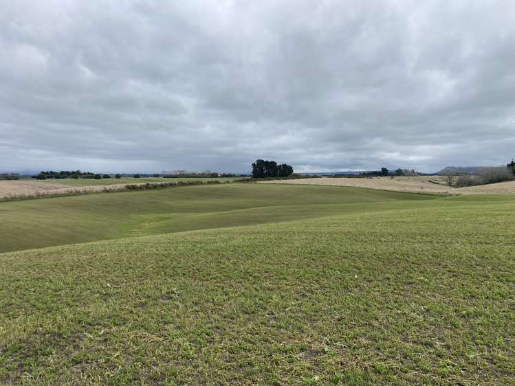 Bristol Road Pareora_5