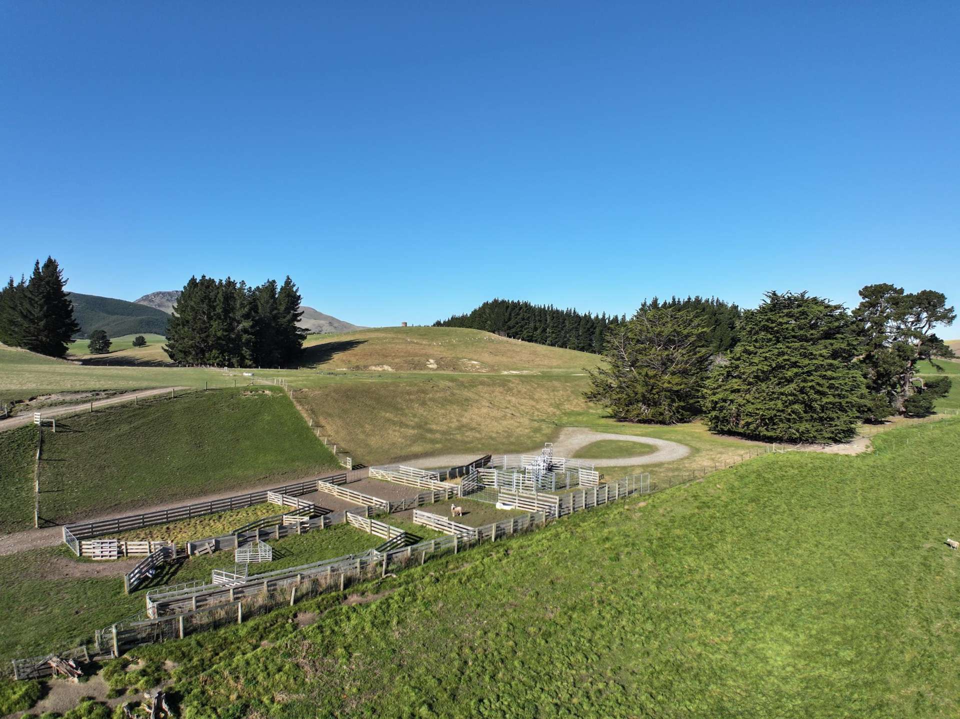 Grange Hill Road Dunback_0