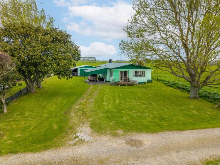 2080 State Highway 25 Orongo_19