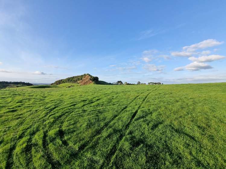 165 Kereru Road Glen Massey_6