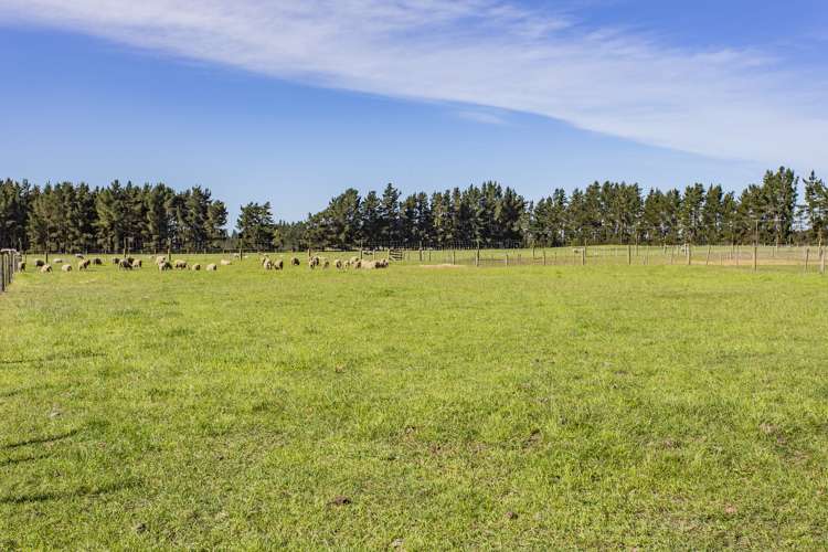 33 Guys Road Yaldhurst_6