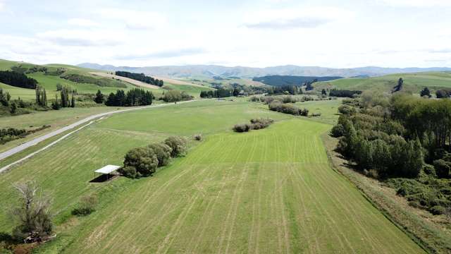 1210 Pleasant Point-Cave Highway Pleasant Point_1