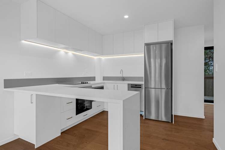 12 Te Puketoka Lane Mangere_2