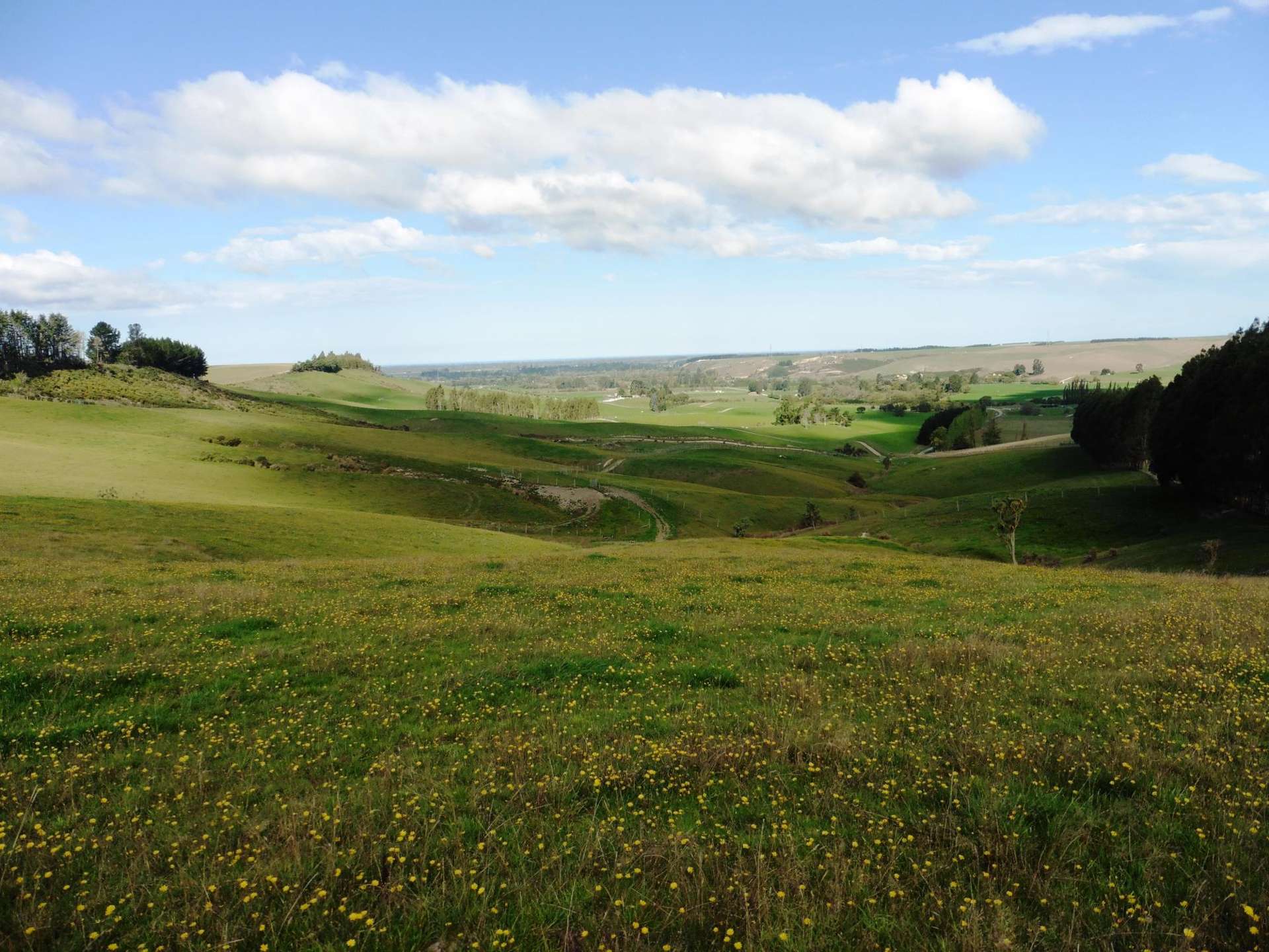 399 Gualter Road Geraldine_0