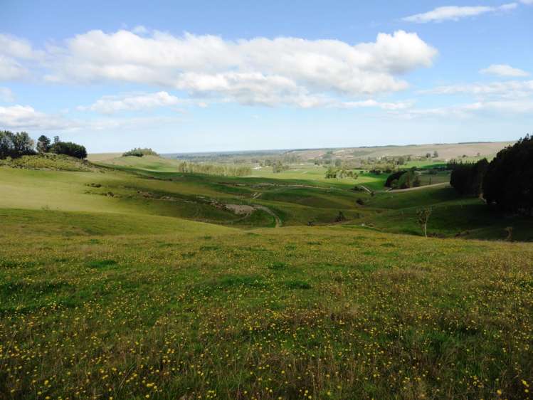 399 Gualter Road Geraldine_0