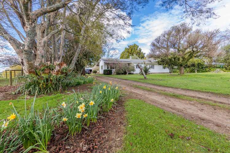 31 Riddell Road Kerikeri_10