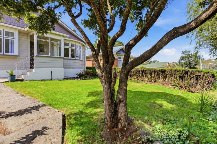 174 Pine Hill Road Dalmore_25