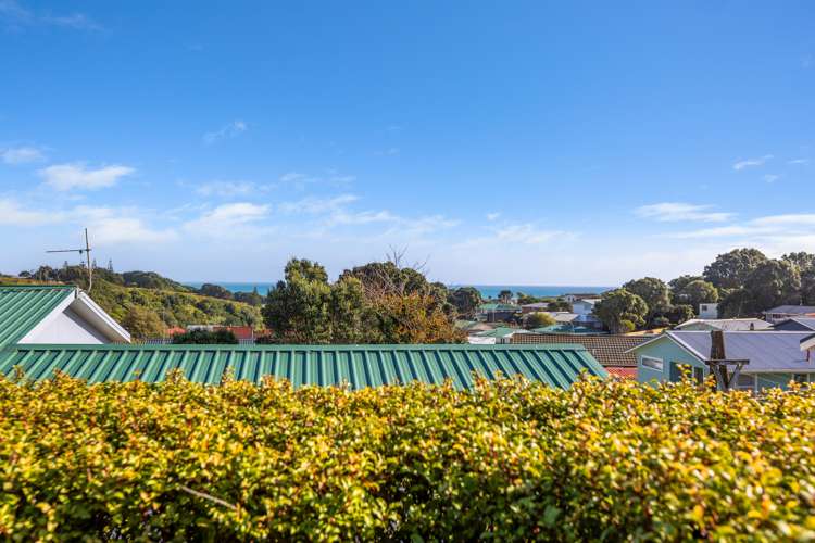 14 Herekawe Drive Spotswood_9