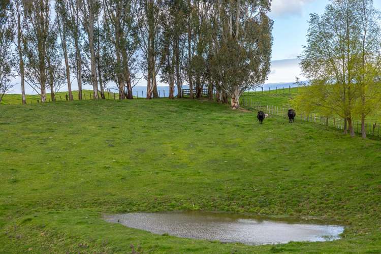 48 Norsewood Ormondville Road Norsewood_7