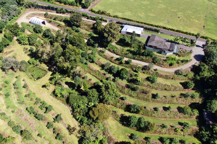 189 Thompsons Track Aongatete_28