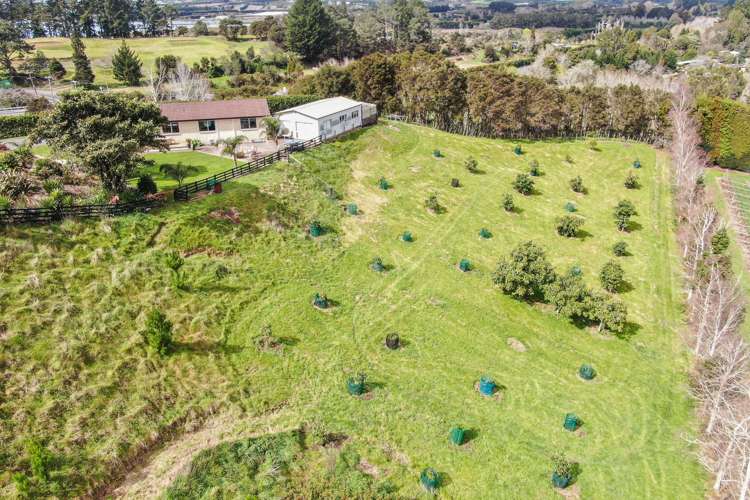 787 State highway 2 Wairoa_17