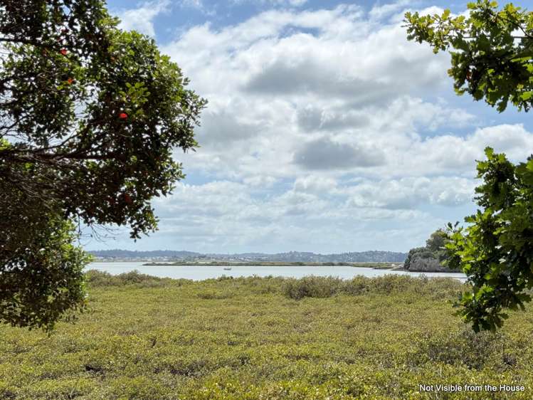 2/331 Royal Road Massey_19