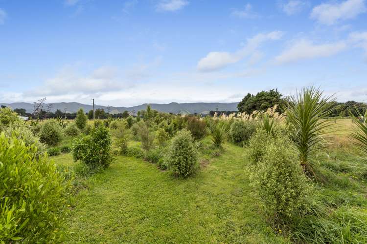 921 Top Grass Road Dannevirke_22