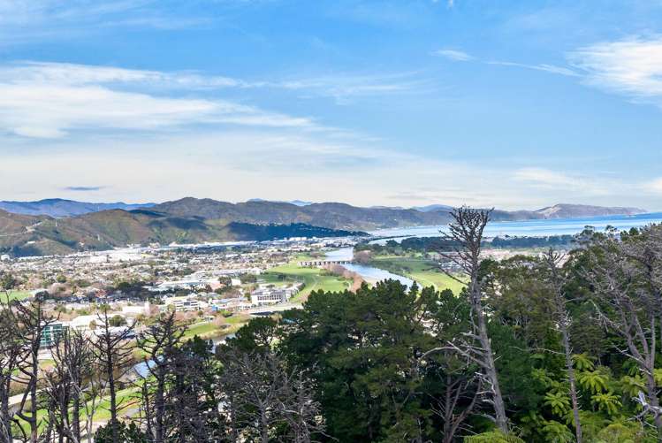 Lot 12 Pae Ariki Place Normandale_22