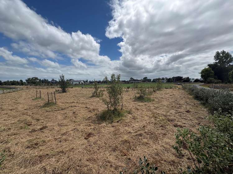 168 Nannestads Line Bunnythorpe_7