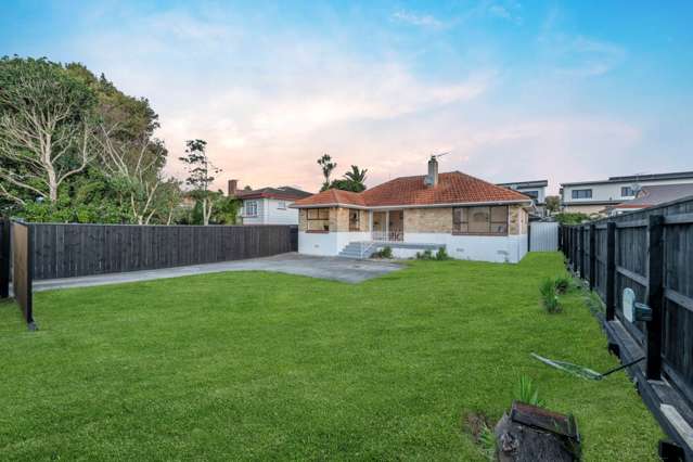 23 Fitzroy Street Papatoetoe_1