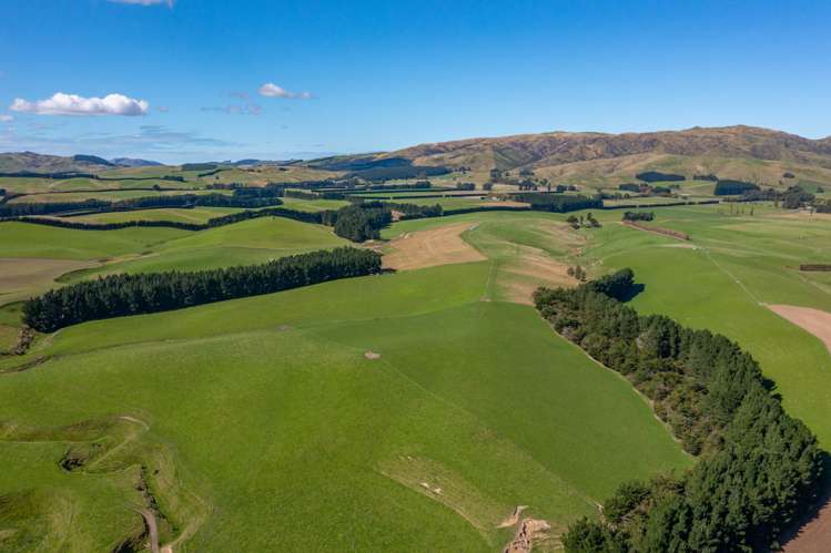 795 Omihi Road Waipara_5