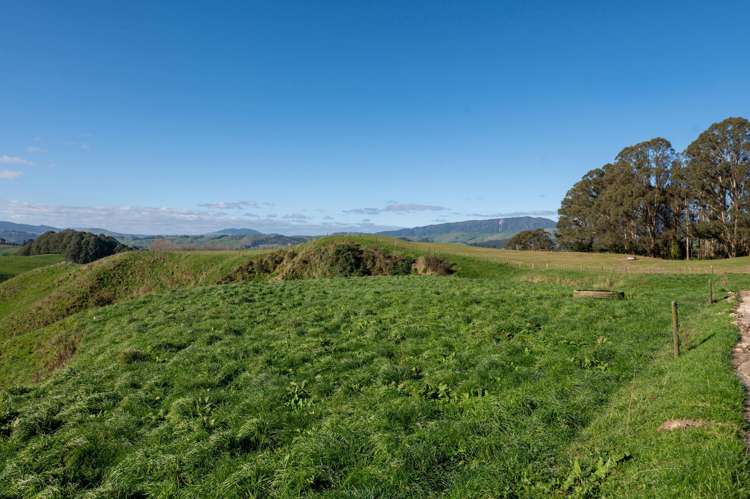 471 Poutakataka Road Ngakuru_29