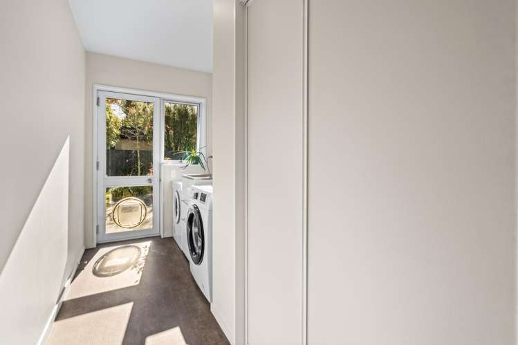 41a Winters Road Redwood_17