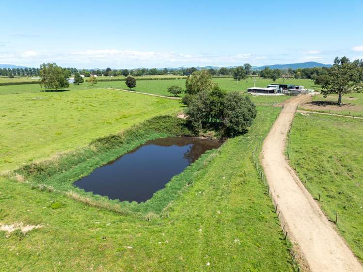 138 Taihoa South Road Matamata_10
